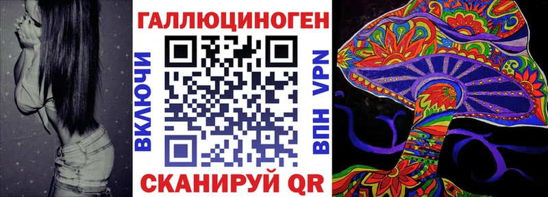 Псилоцибиновые грибы Psilocybine cubensis  как найти закладки  hydra как войти  Курлово 